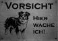 Preview: Edelstahl Warnschild Australian Shepherd VORSICHT Hier wache ich!